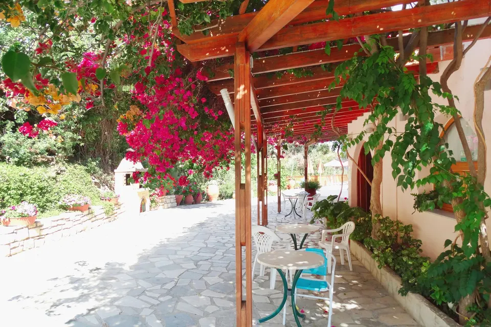 Terrasse under en træpergola med bougainvillea og små caféborde