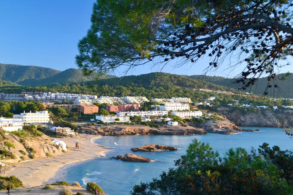 Cala Tarida set gennem fyrretræer med stranden og hotellerne