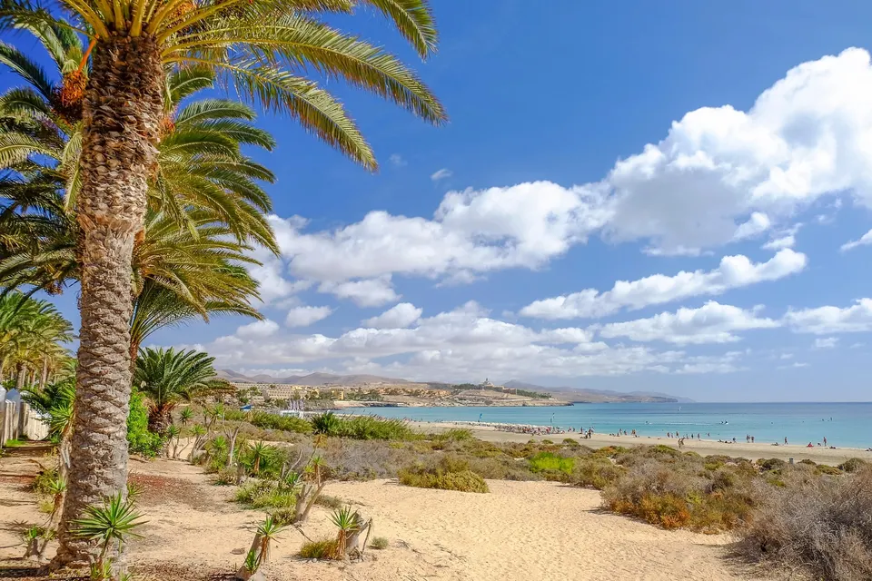 Palmer og bred sandstrand i Costa Calma på Fuerteventura
