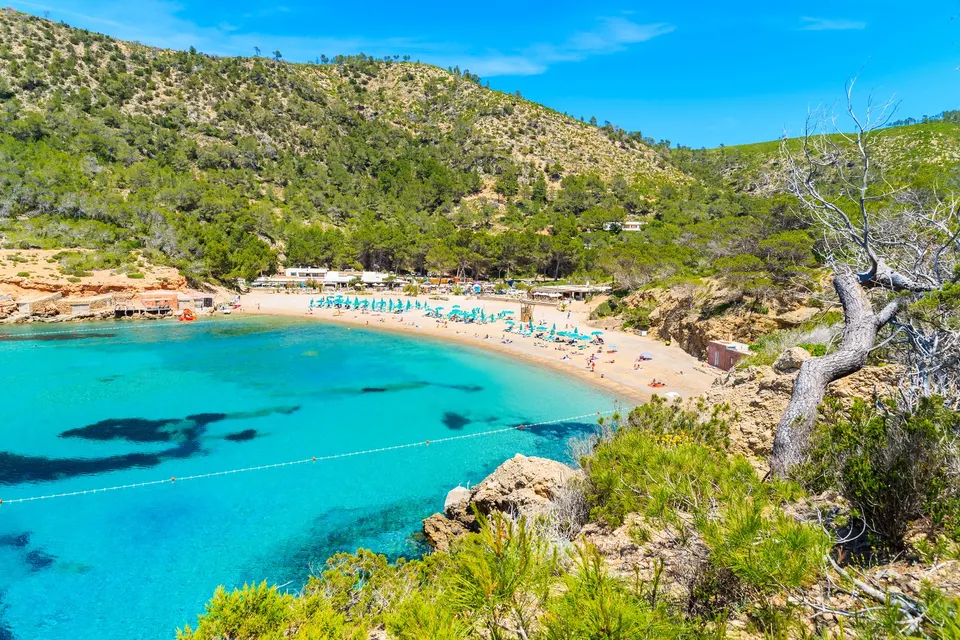 Cala Benirràs på Ibiza med turkis vand, sandstrand og strandbarer under de skovklædte skrænter