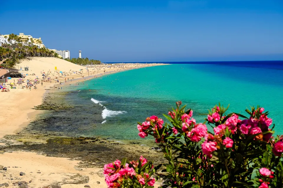 Playa del Matorral i Jandia med badegæster og oleander