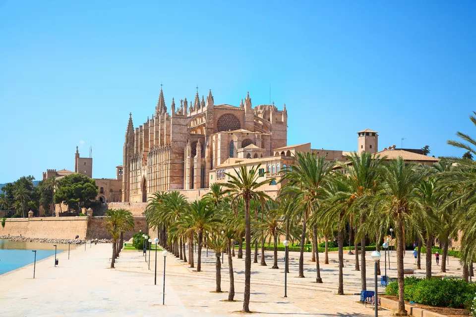 Katedralen La Seu i Palma de Mallorca med palmealléen i Parc de la Mar i solskin