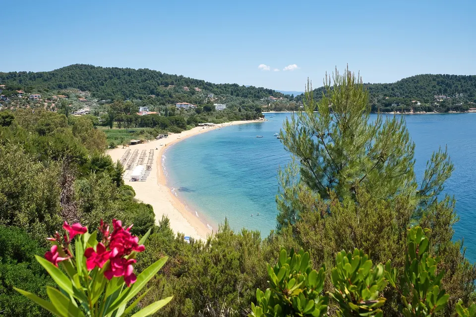 Stranden ved Platanias set gennem fyrretræer og blomstrende oleander