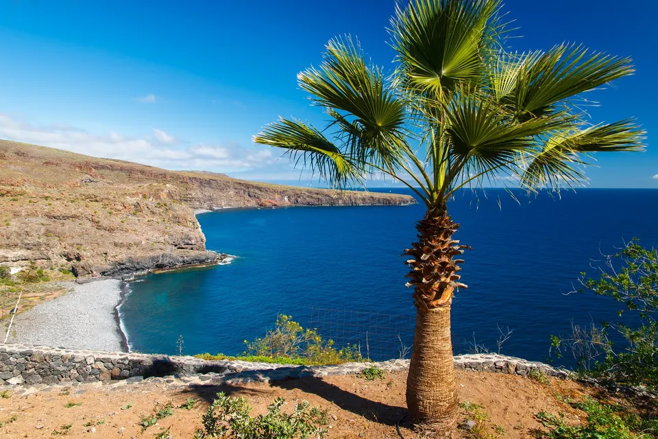 Palme over en stenstrand og dybblåt hav ved Playa de Santiago