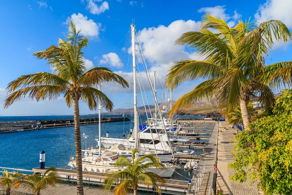 Palmer og sejlbåde i marinaen i Puerto Calero