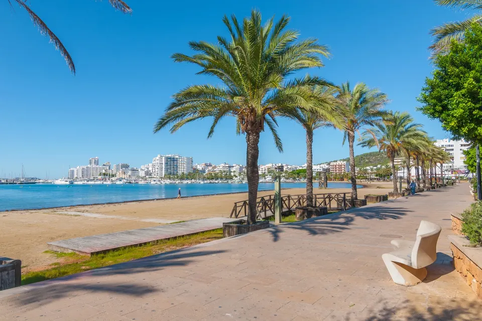 Strandpromenaden med palmer langs bybugten i San Antonio