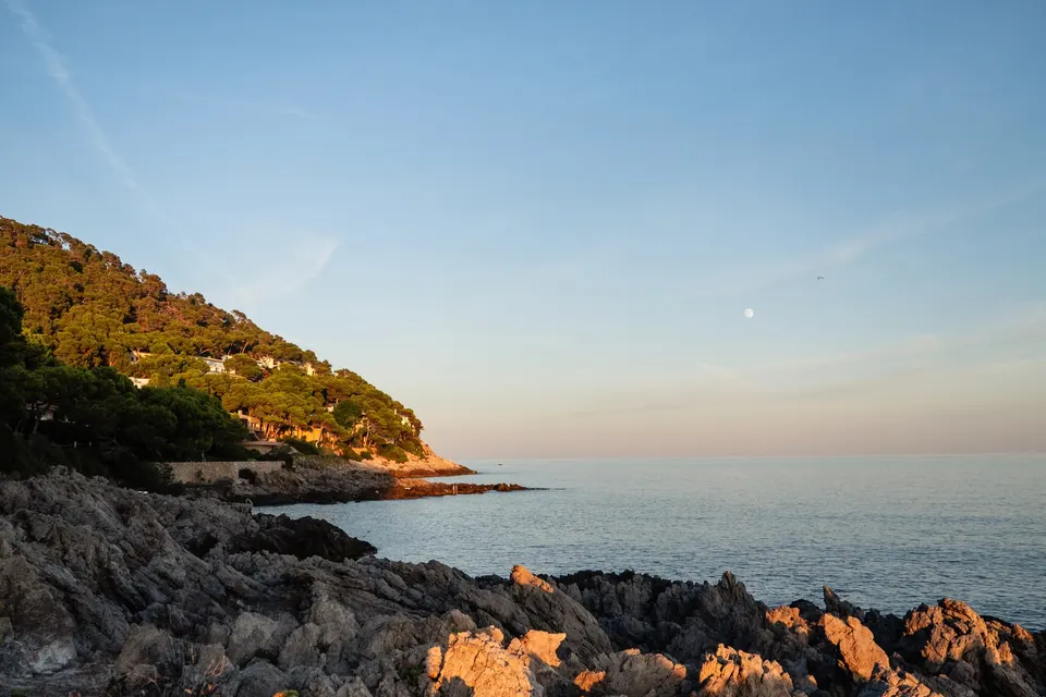 Klippekyst i aftensol under en skråning med fyrretræer og huse på Mallorca